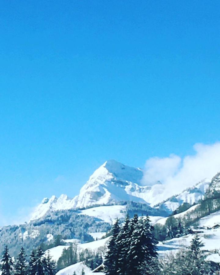 Ferienwohnung Studio Praz Sur Arly Exterior foto